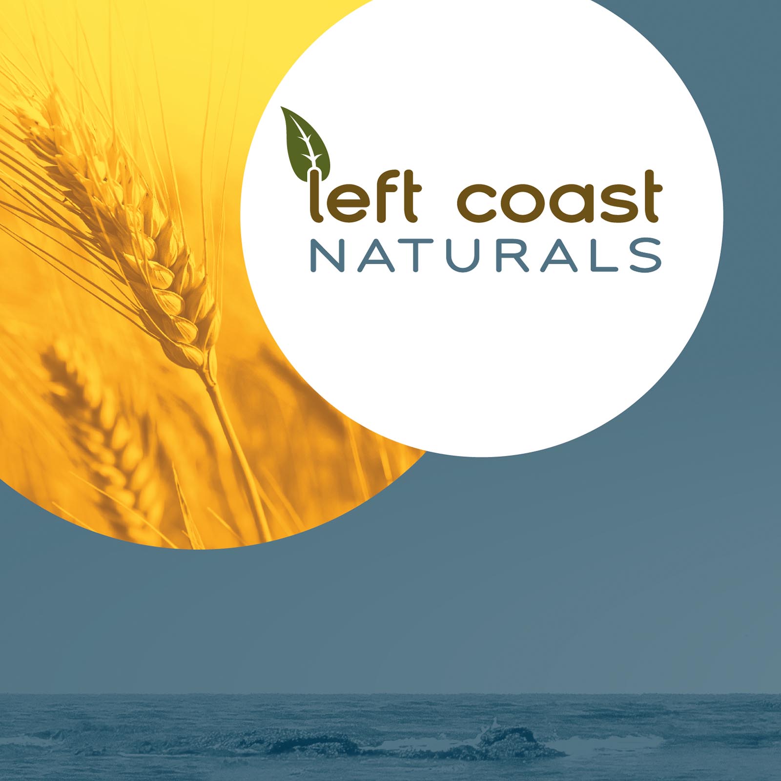 Large Scale   LCN booth  Thumbnail 1600px